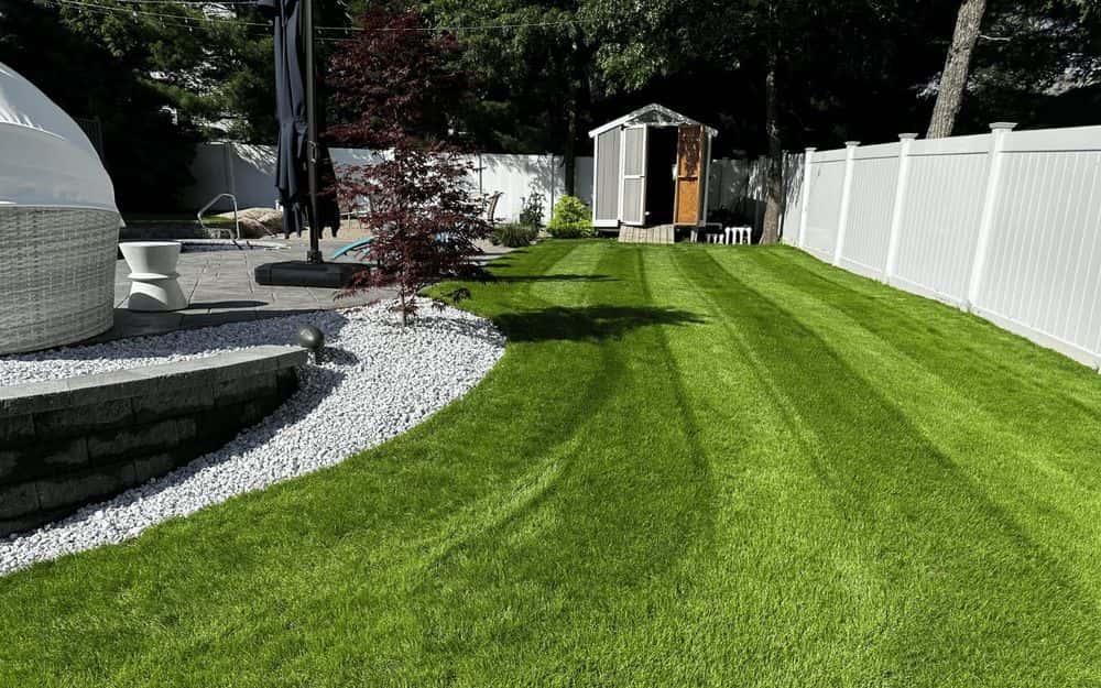 Hero image for Gaia Lawn and Landscape