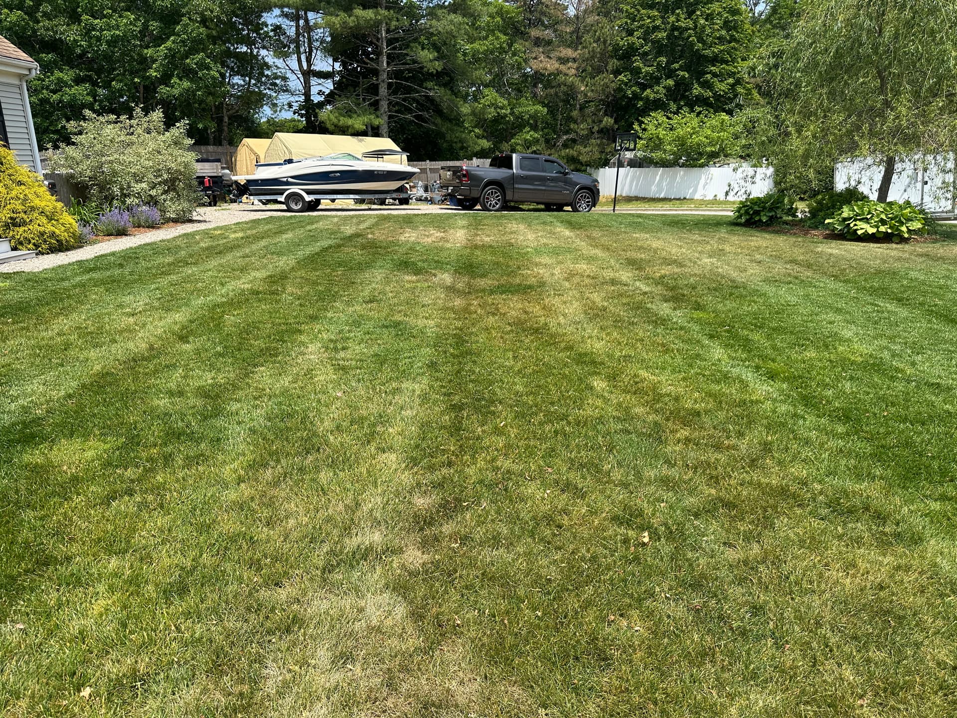 A Clean Cut Is the First Step to a Thicker Lawn in Wareham