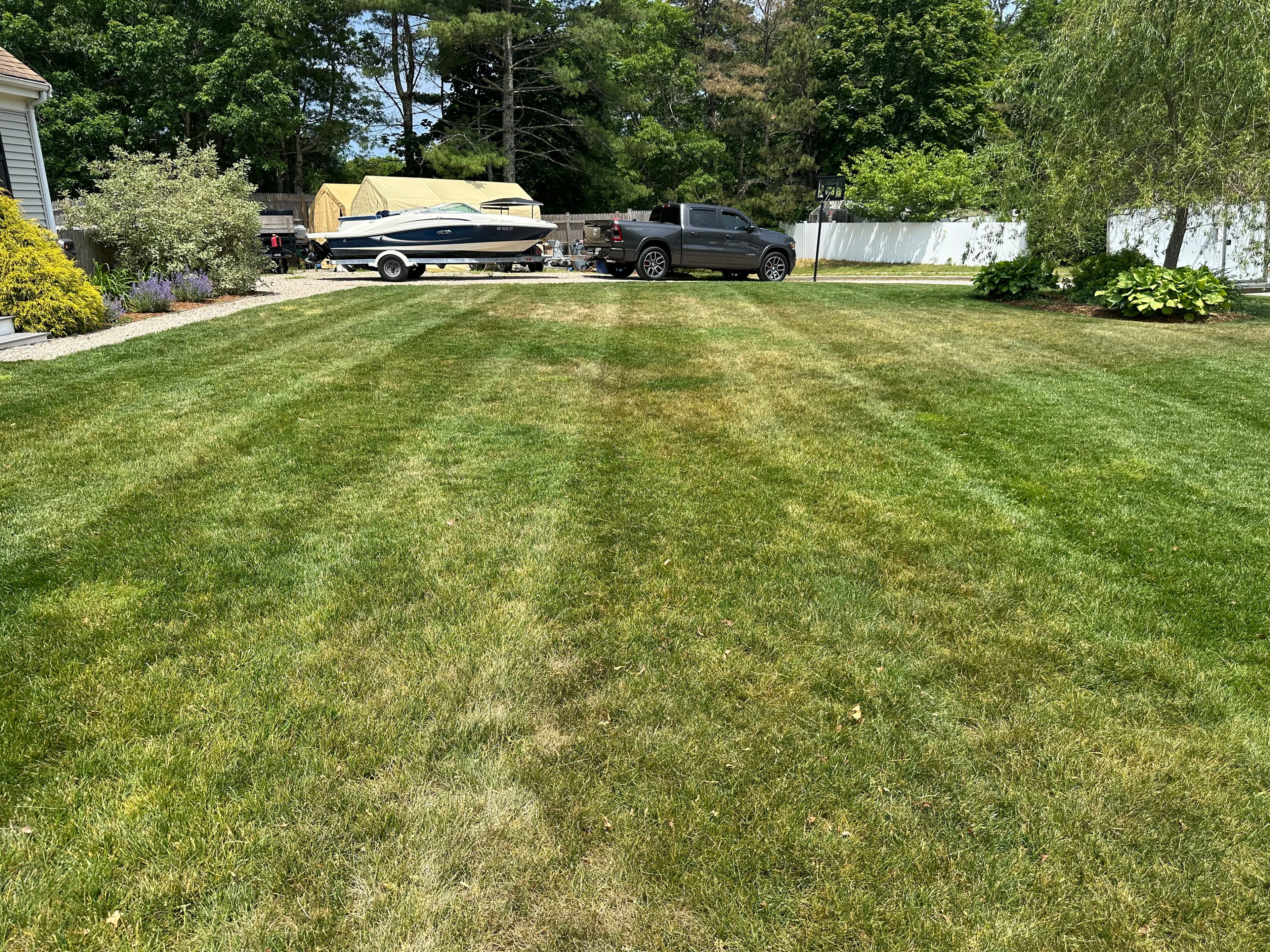 Project A Clean Cut Is the First Step to a Thicker Lawn in Wareham image