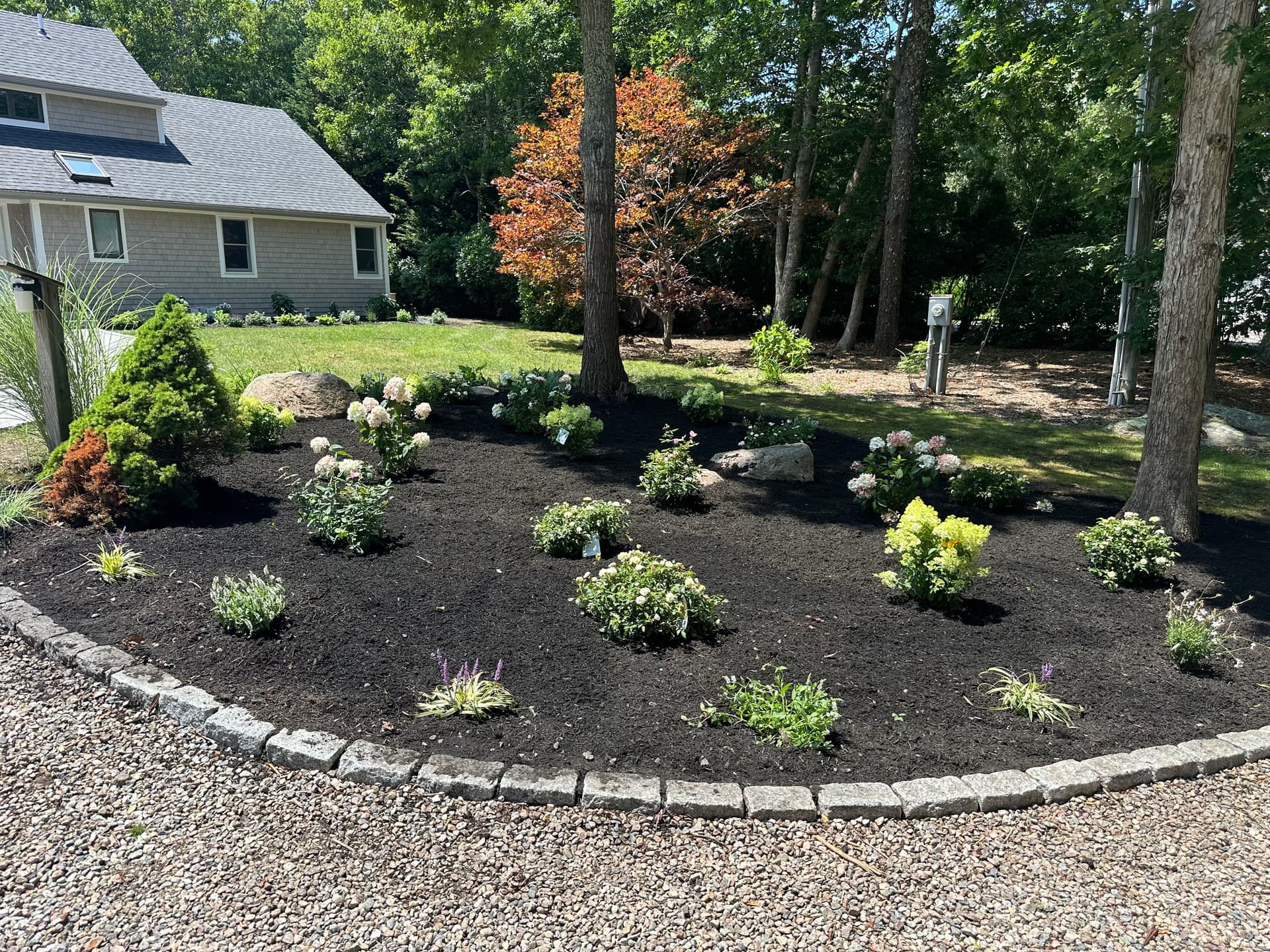 Gallery photos for Front Yard Landscape Reset With New Beds and Black Mulch: Image #6