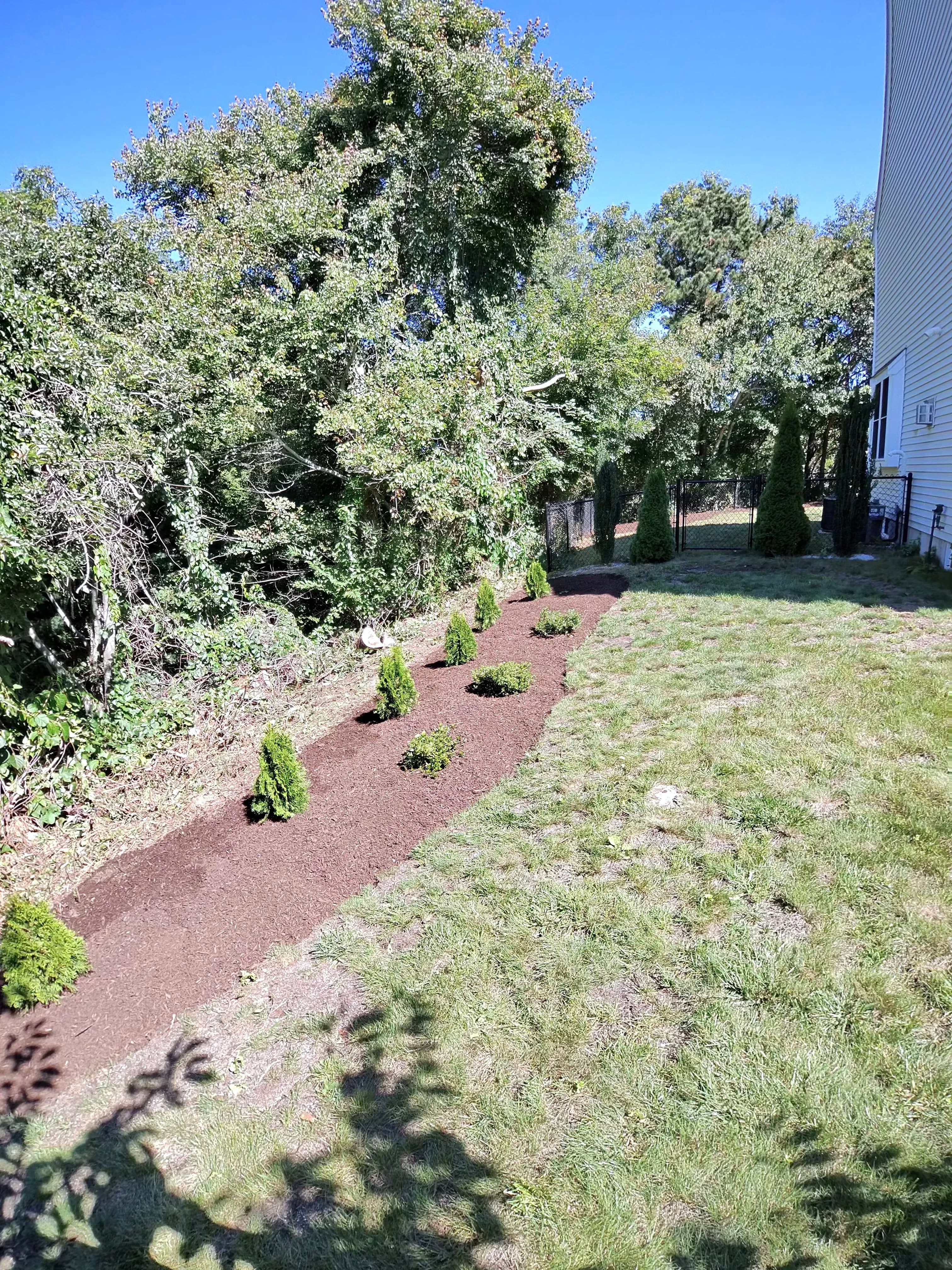Project Fresh Mulch and Cleanup That Makes Your Trees Stand Out image