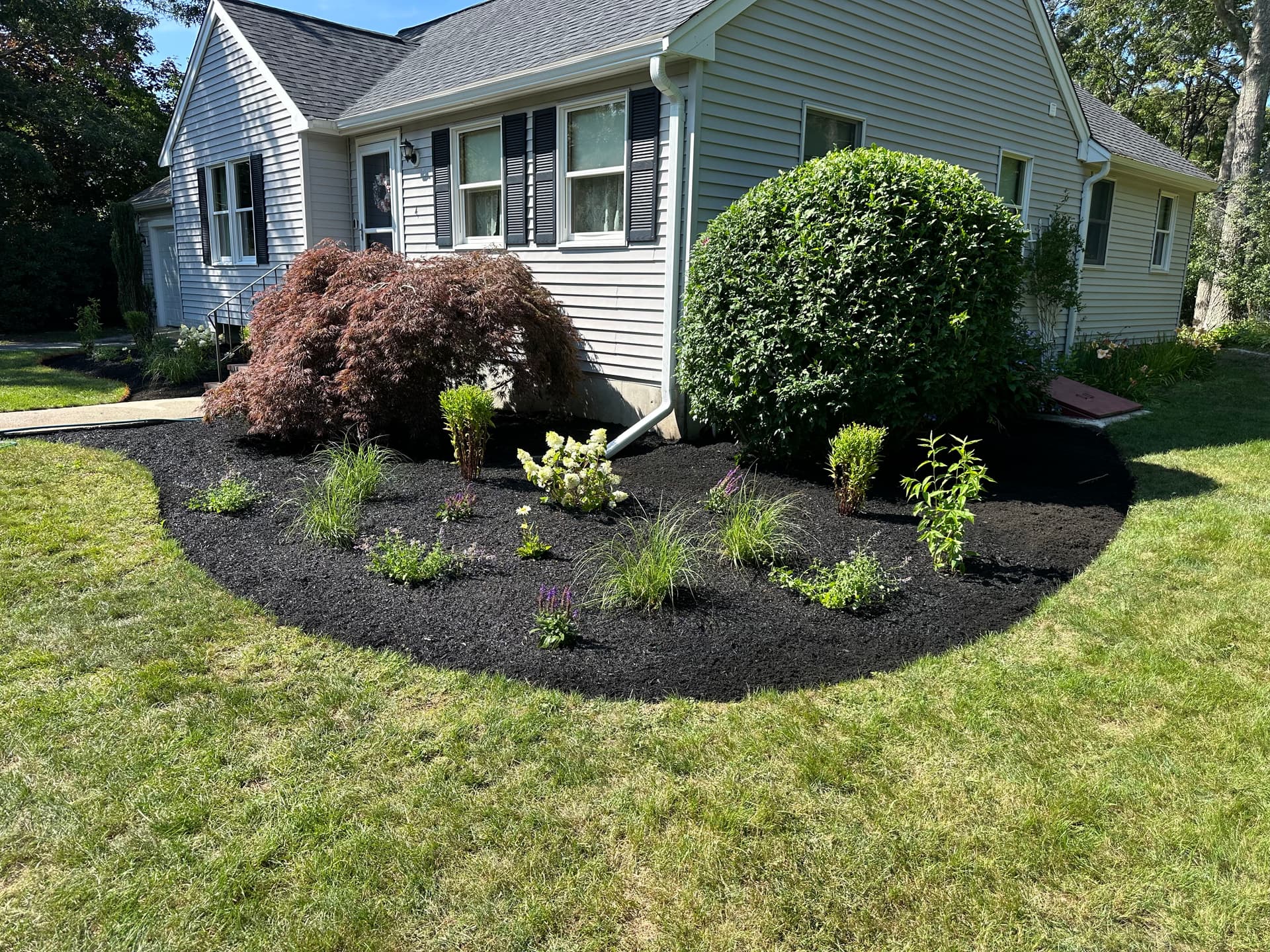Gallery photos for Black Mulch Bed Design With Fresh Perennial Plantings: Image #4
