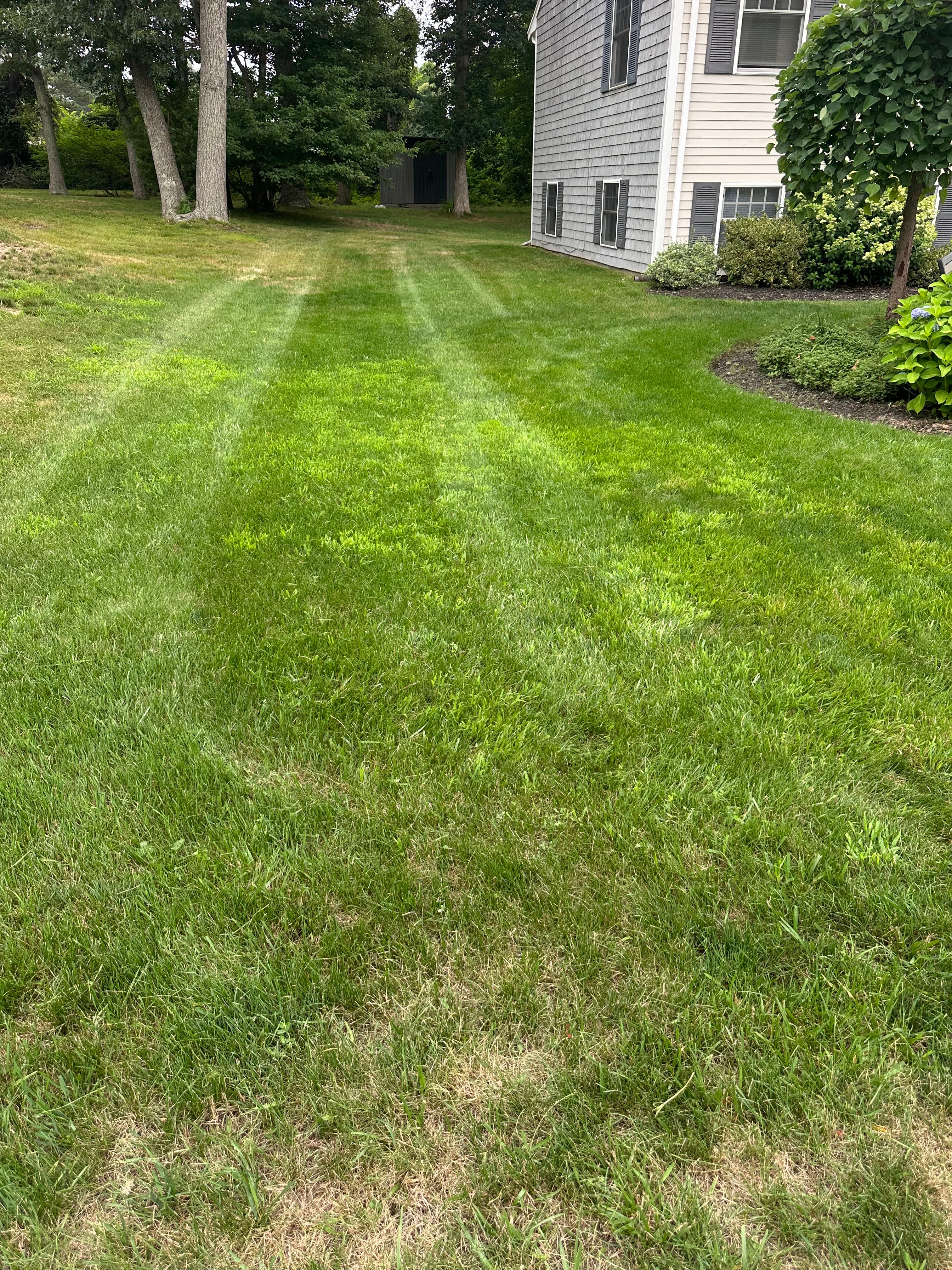 Project First Visit, Fresh Cut - Sandwich MA Lawn Care image