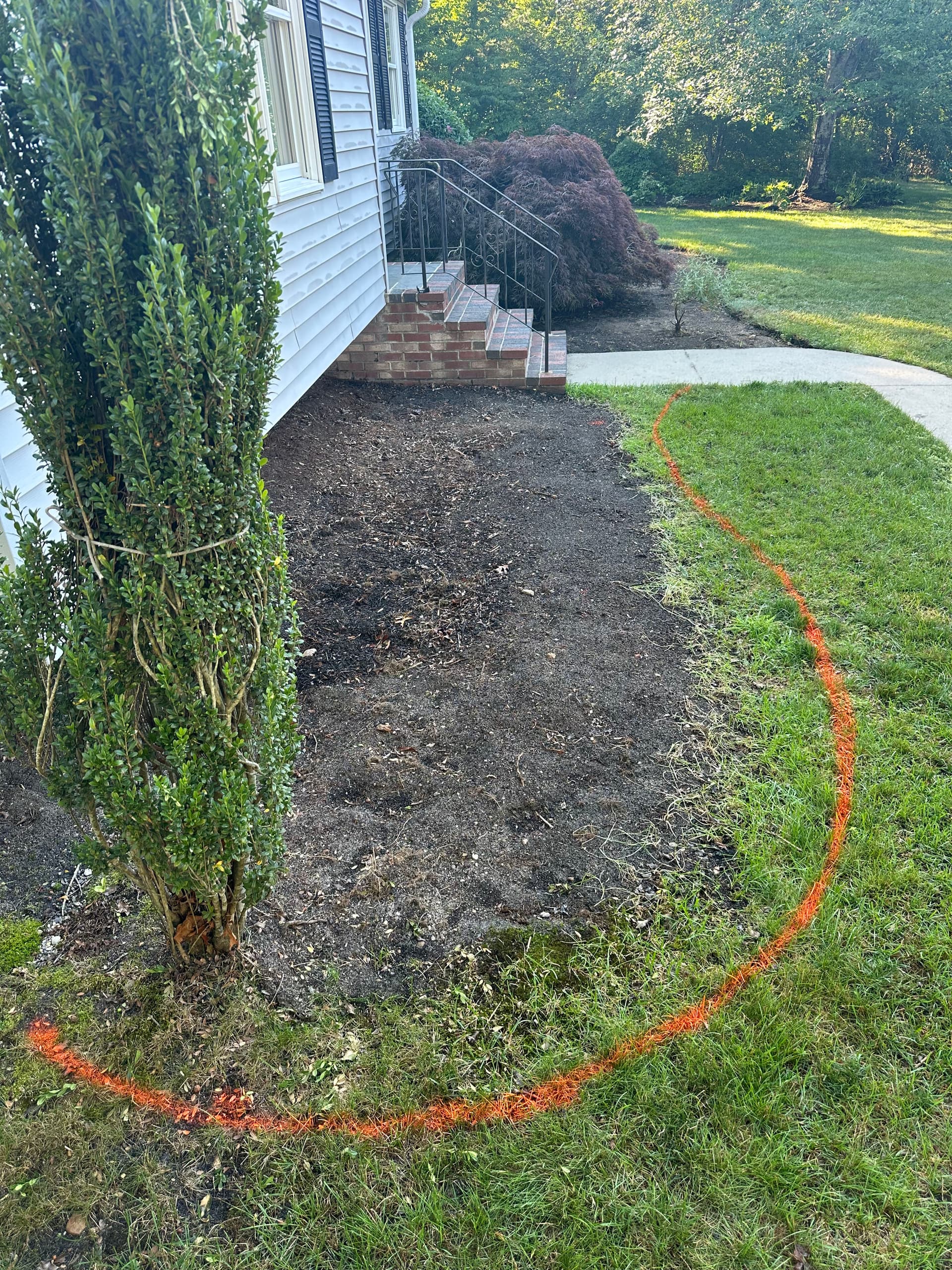 Black Mulch Bed Design With Fresh Perennial Plantings image
