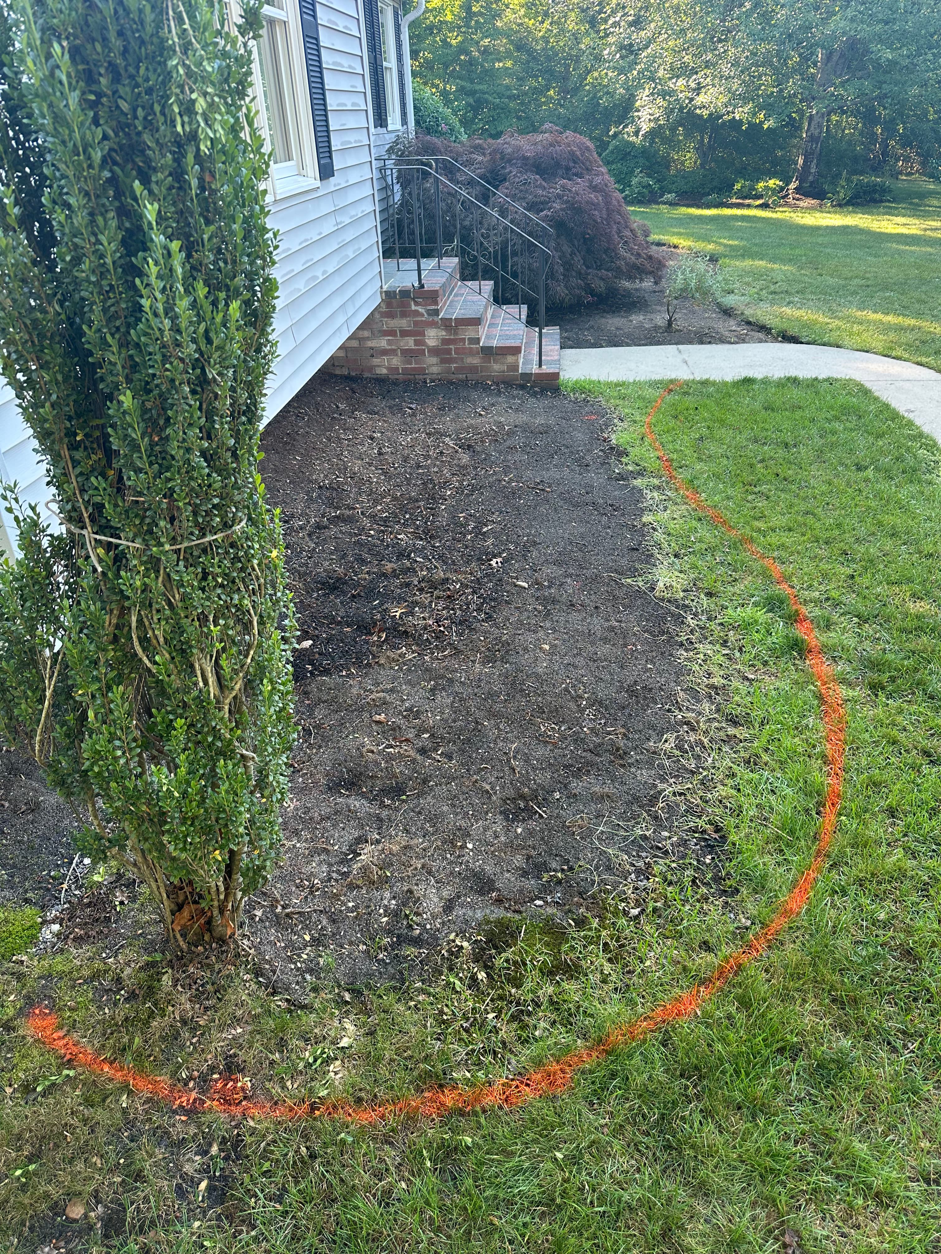 Project Black Mulch Bed Design With Fresh Perennial Plantings image