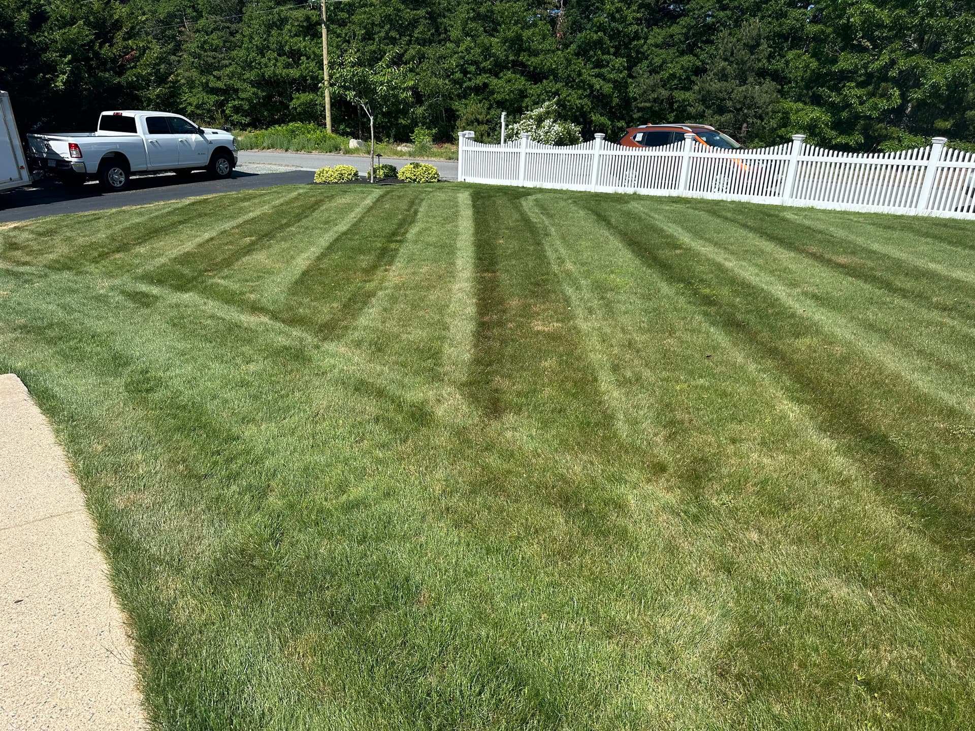 Clean Stripes and a Sharp Schedule - Weekly Lawn Mowing Done Right