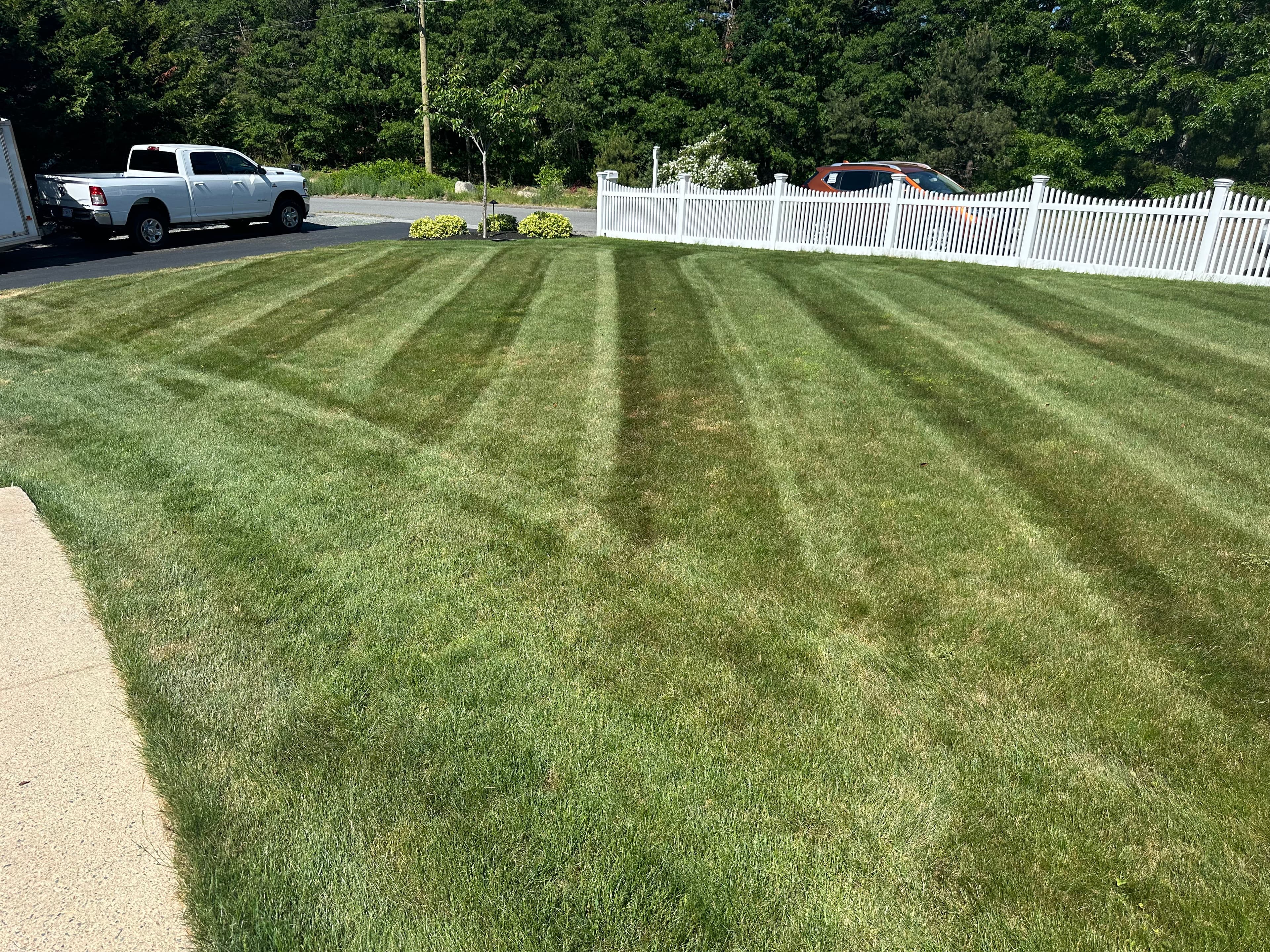 Project Clean Stripes and a Sharp Schedule - Weekly Lawn Mowing Done Right image