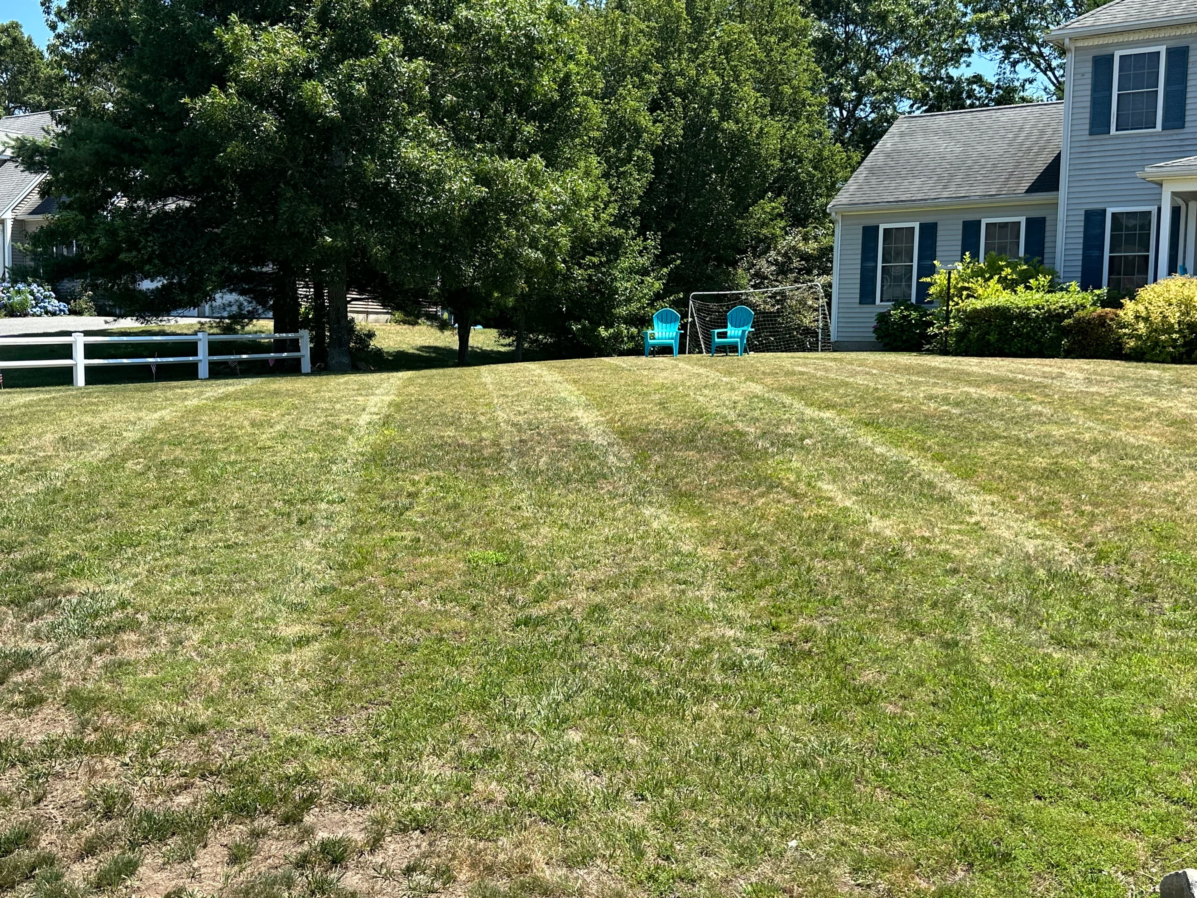 Project Smart Lawn Mowing Keeps Your Yard Healthy Through Dry Spells image