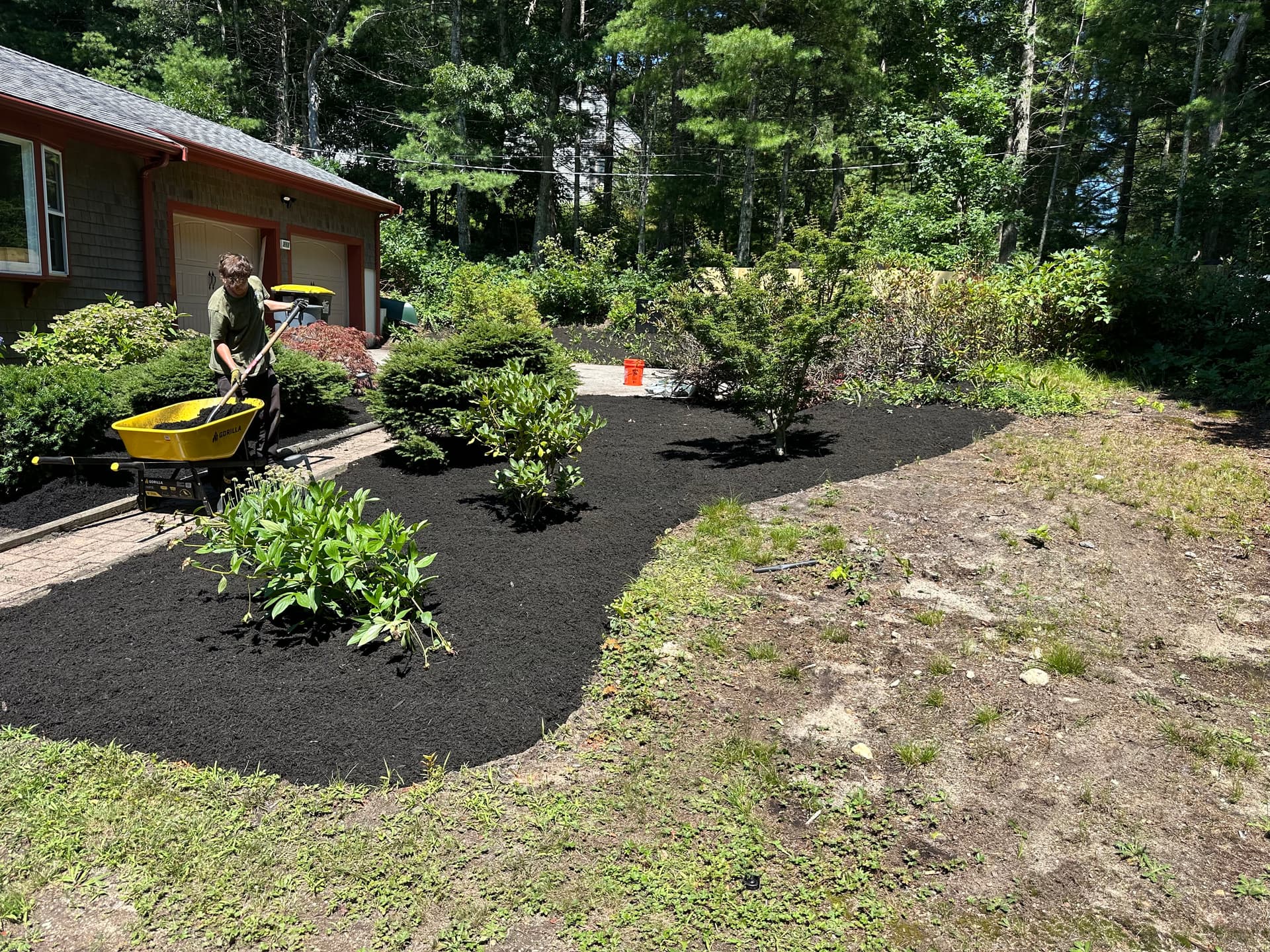 Gallery photos for Fresh Mulch Installation Cleans Up This Plymouth Property: Image #1