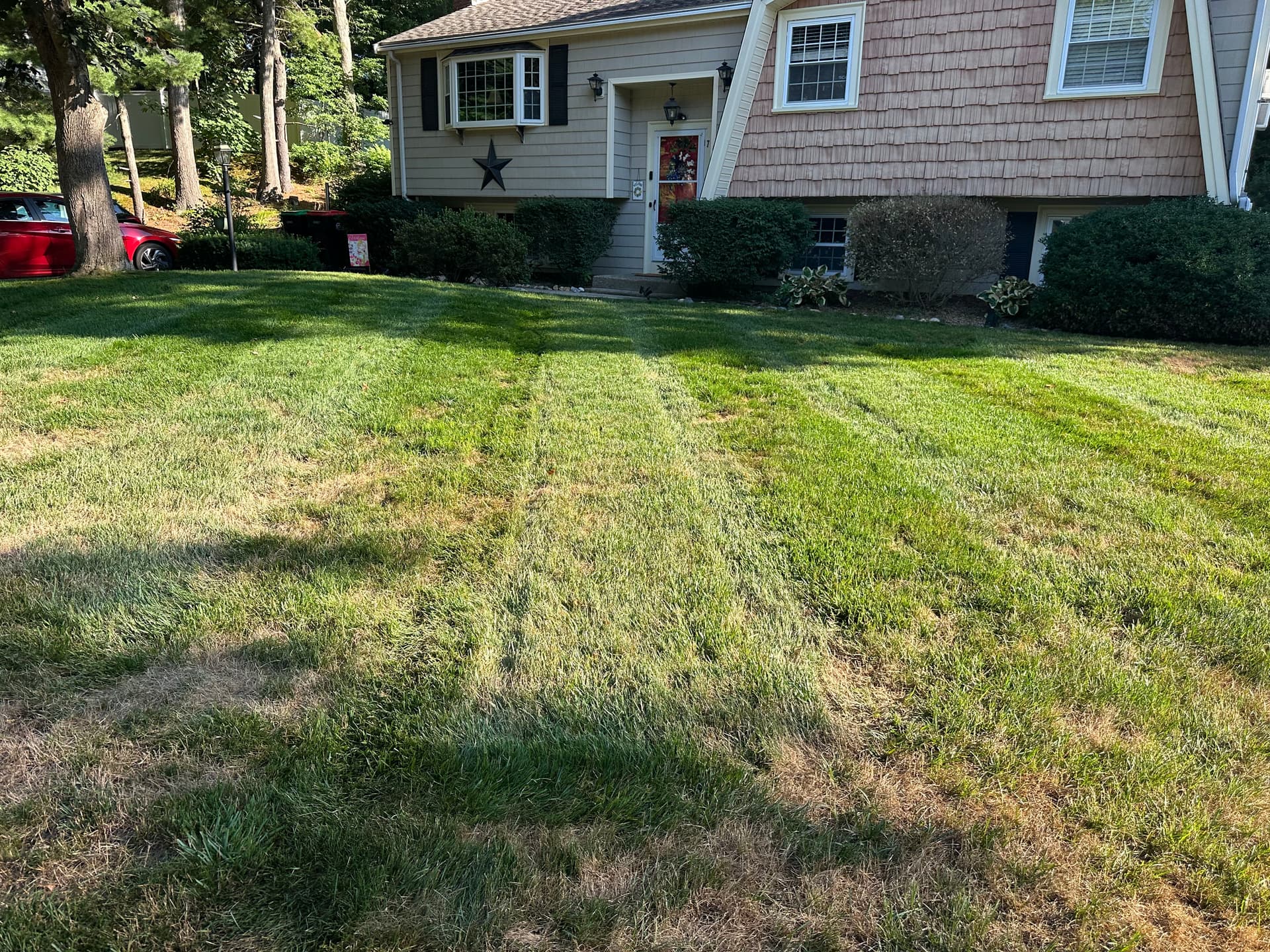 Gallery photos for Fresh Stripes and a Sharp Lawn in Plymouth MA: Image #1