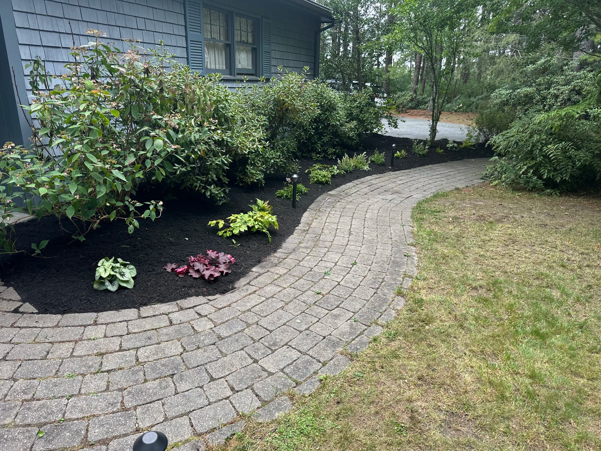 Fresh Mulch and New Perennials Make a Front Walkway Feel Like Home image