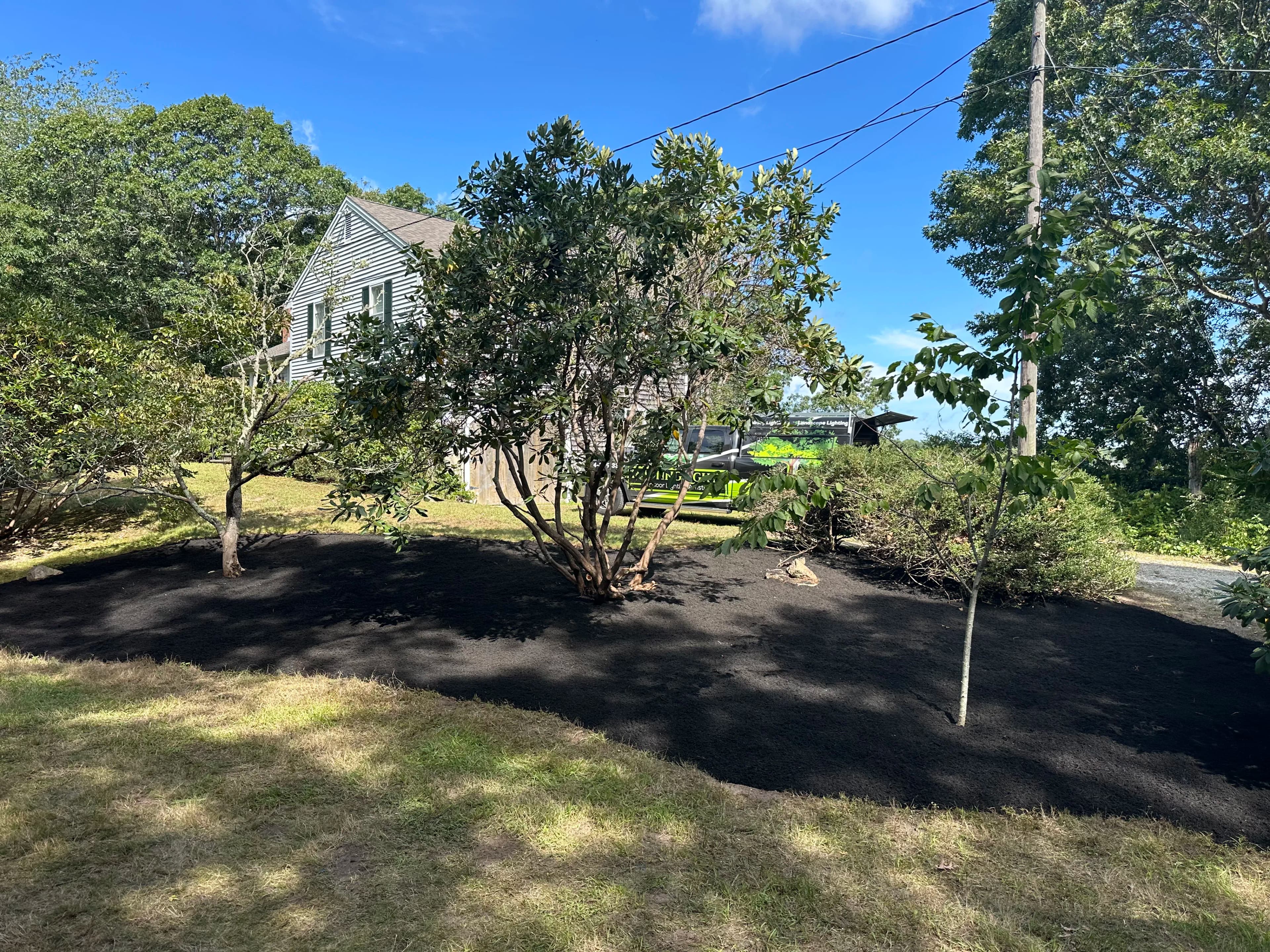 Project Overgrown Sumac and Vines Cleared for Healthier Trees image
