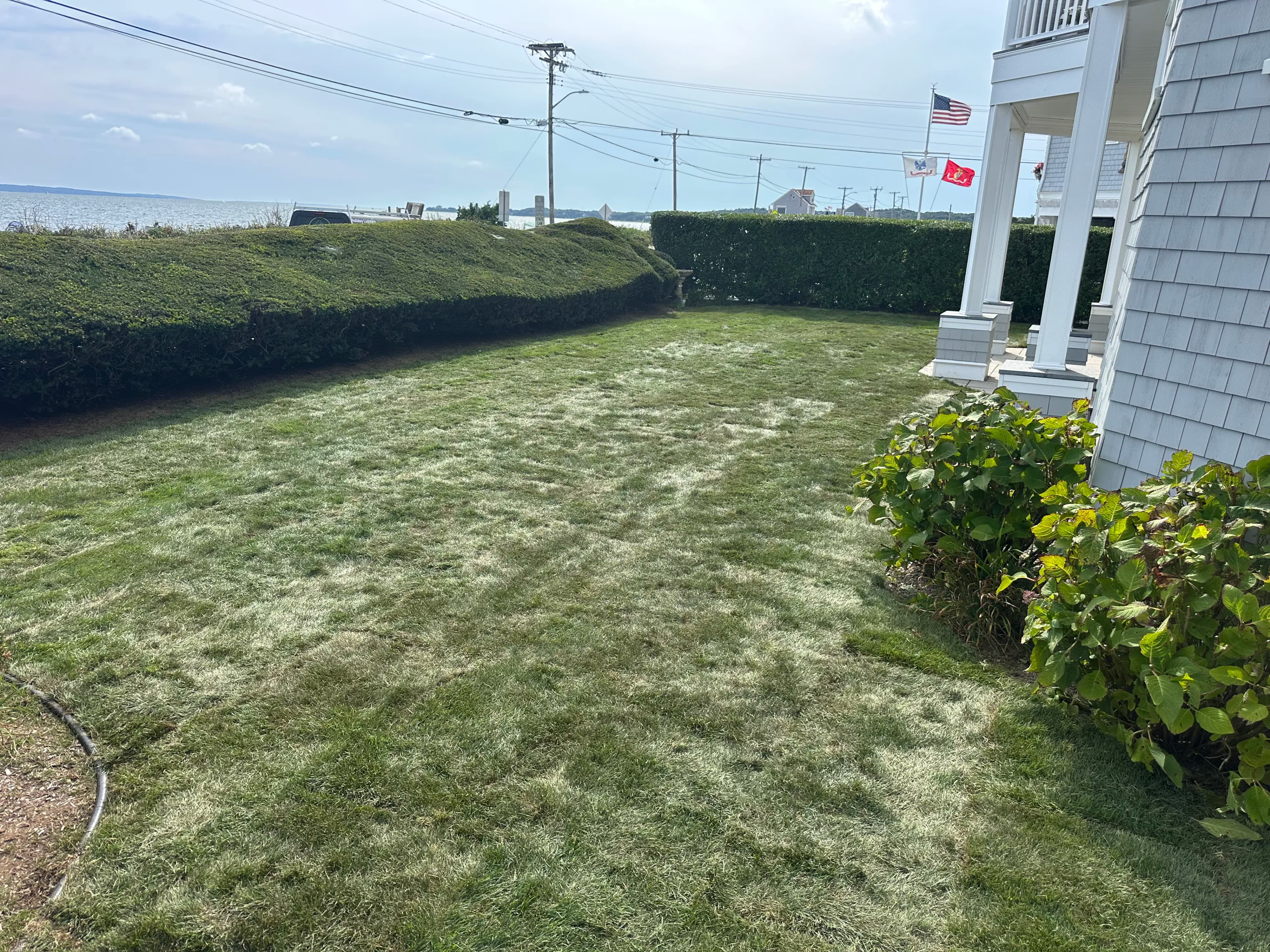 Project Fresh Sod Installation Gives This Front Yard a Clean New Start image