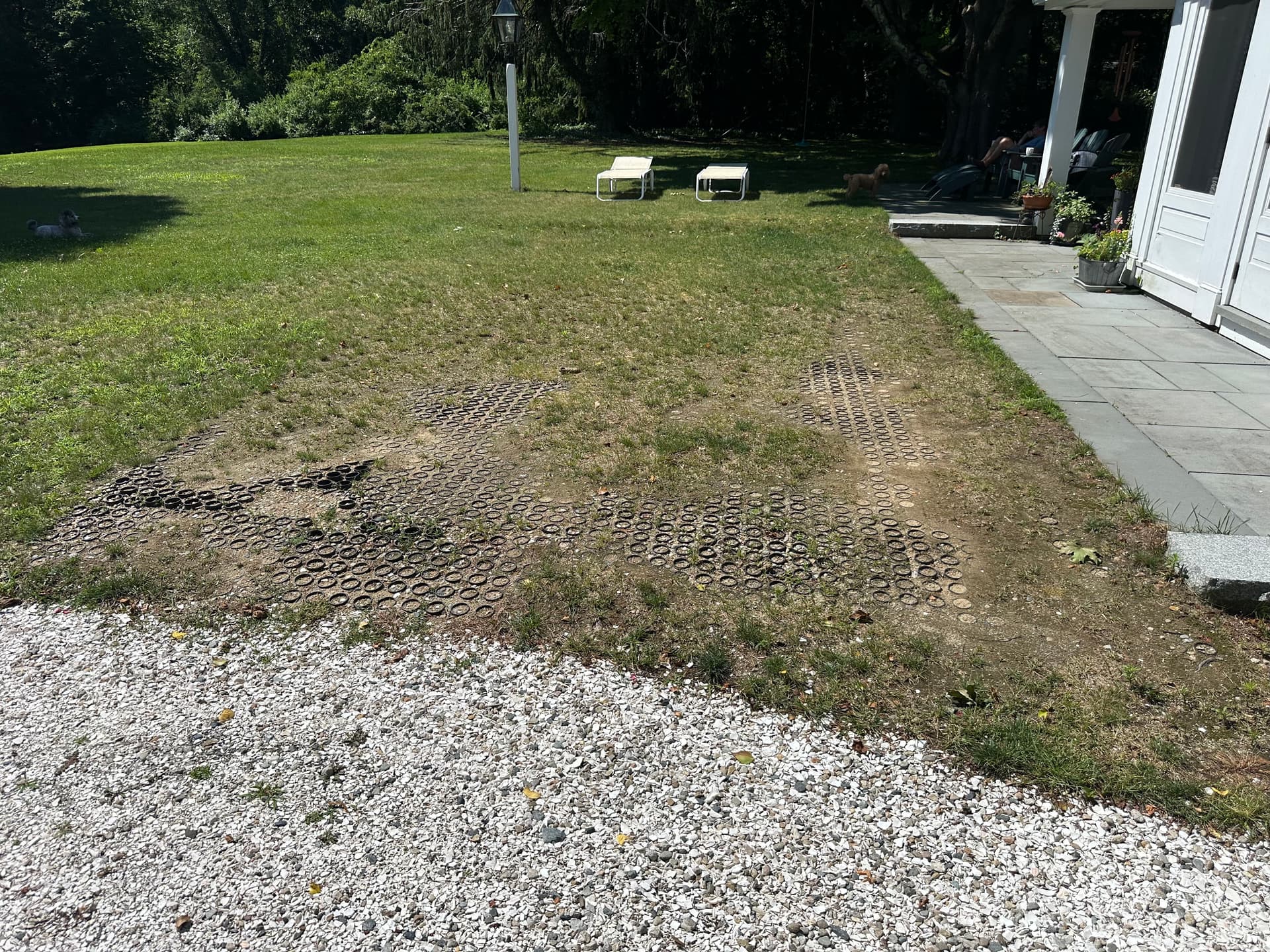 Gallery photos for Landscape Bed Rebuild with Boulder Borders, Metal Edging, and Fresh Mulch: Image #5