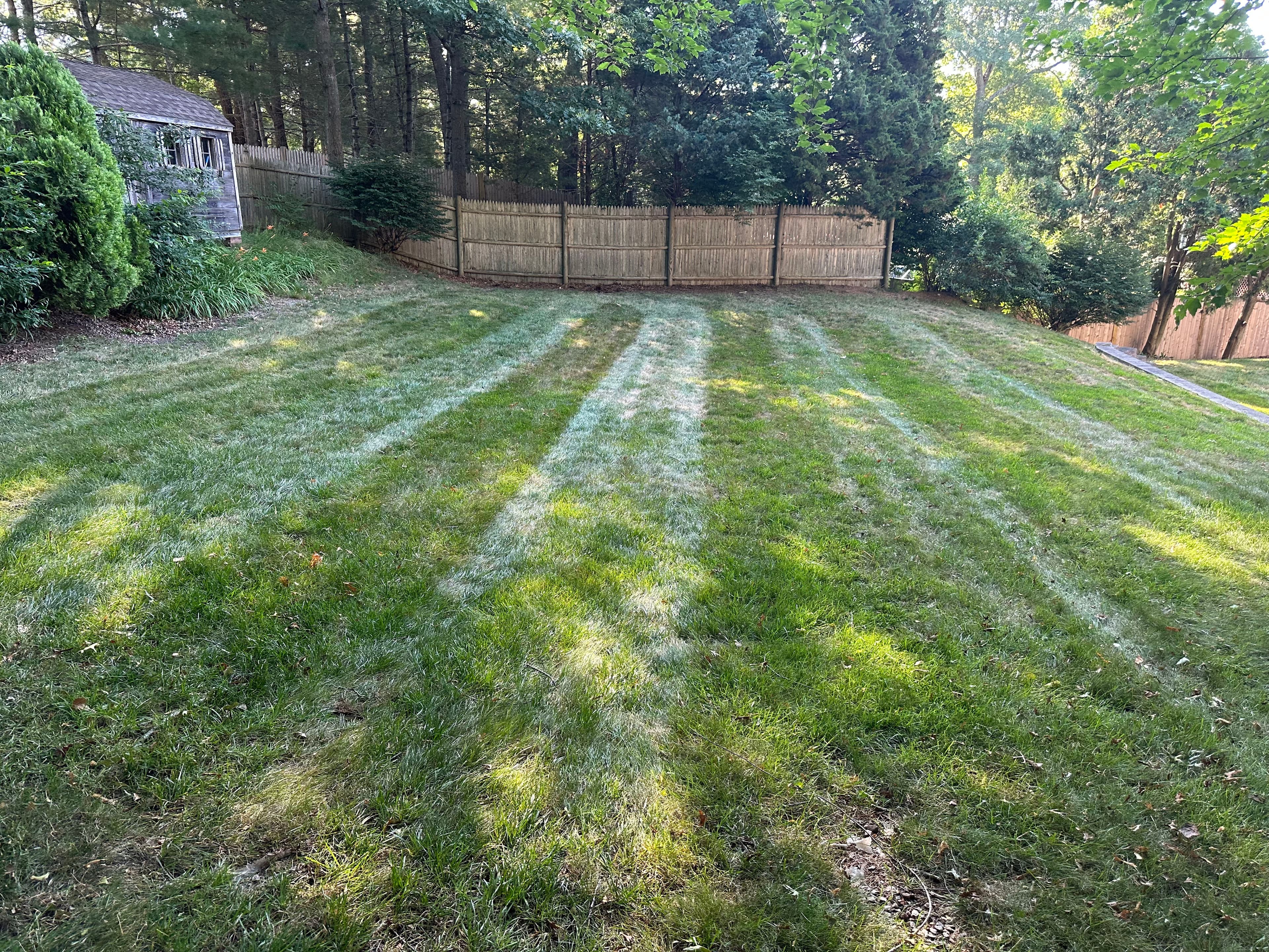Project Fresh Stripes and a Sharp Lawn in Plymouth MA image