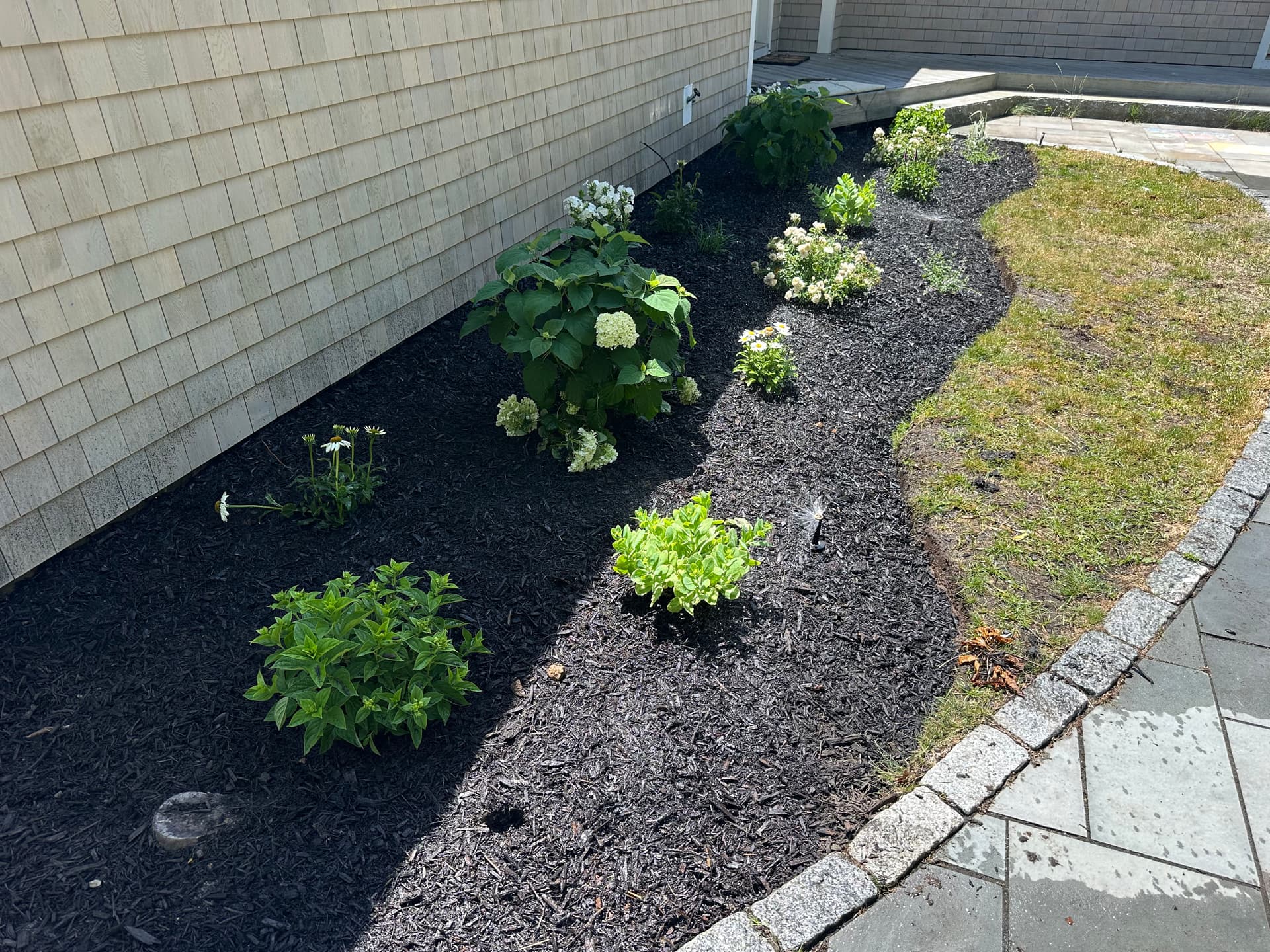 Gallery photos for Perennial Garden Bed Cleanup and Mulch Installation With Real Curb Appeal: Image #3