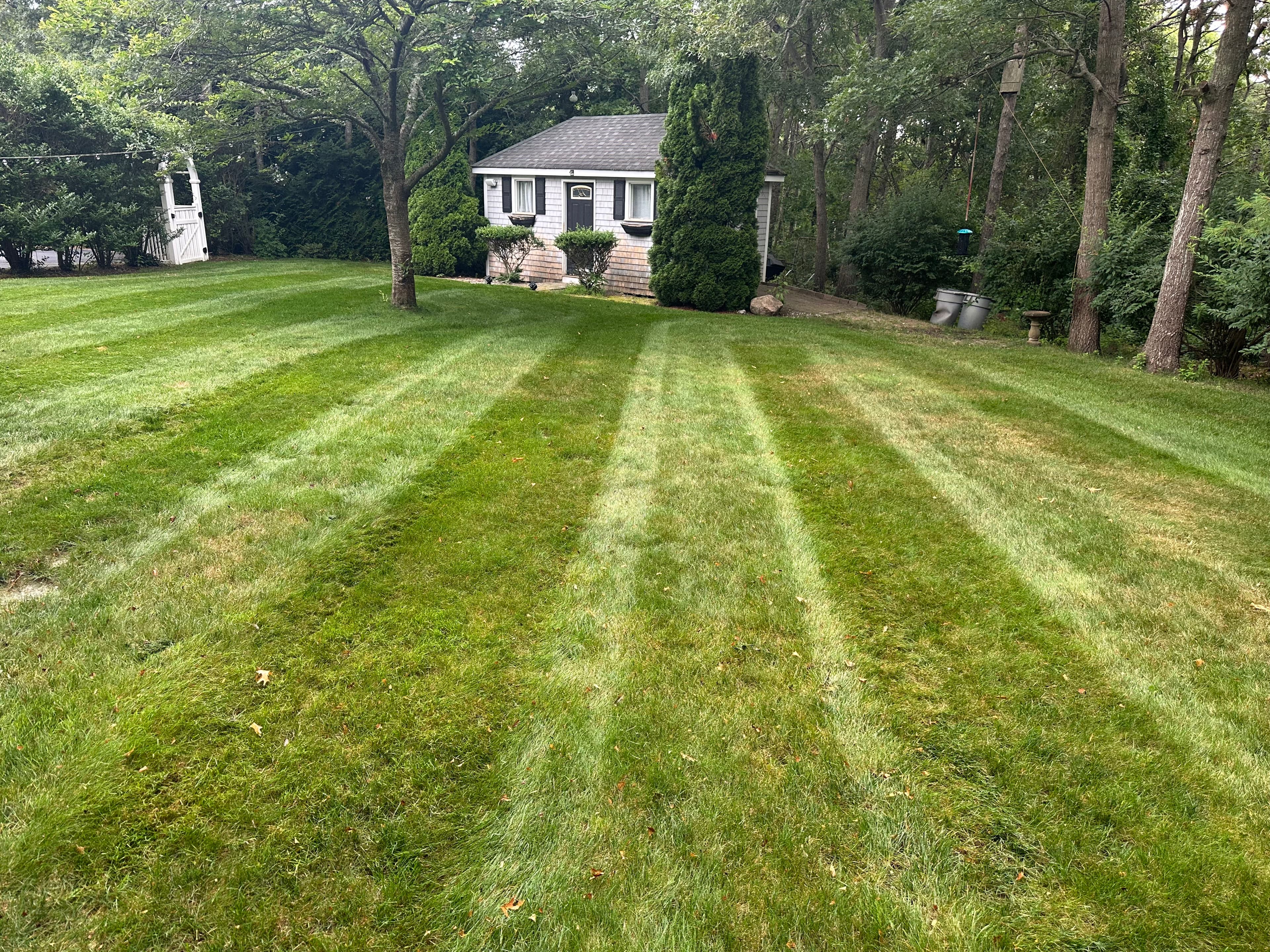 Project Clean Mow and Sharp Lines for a New Customer in Sagamore image