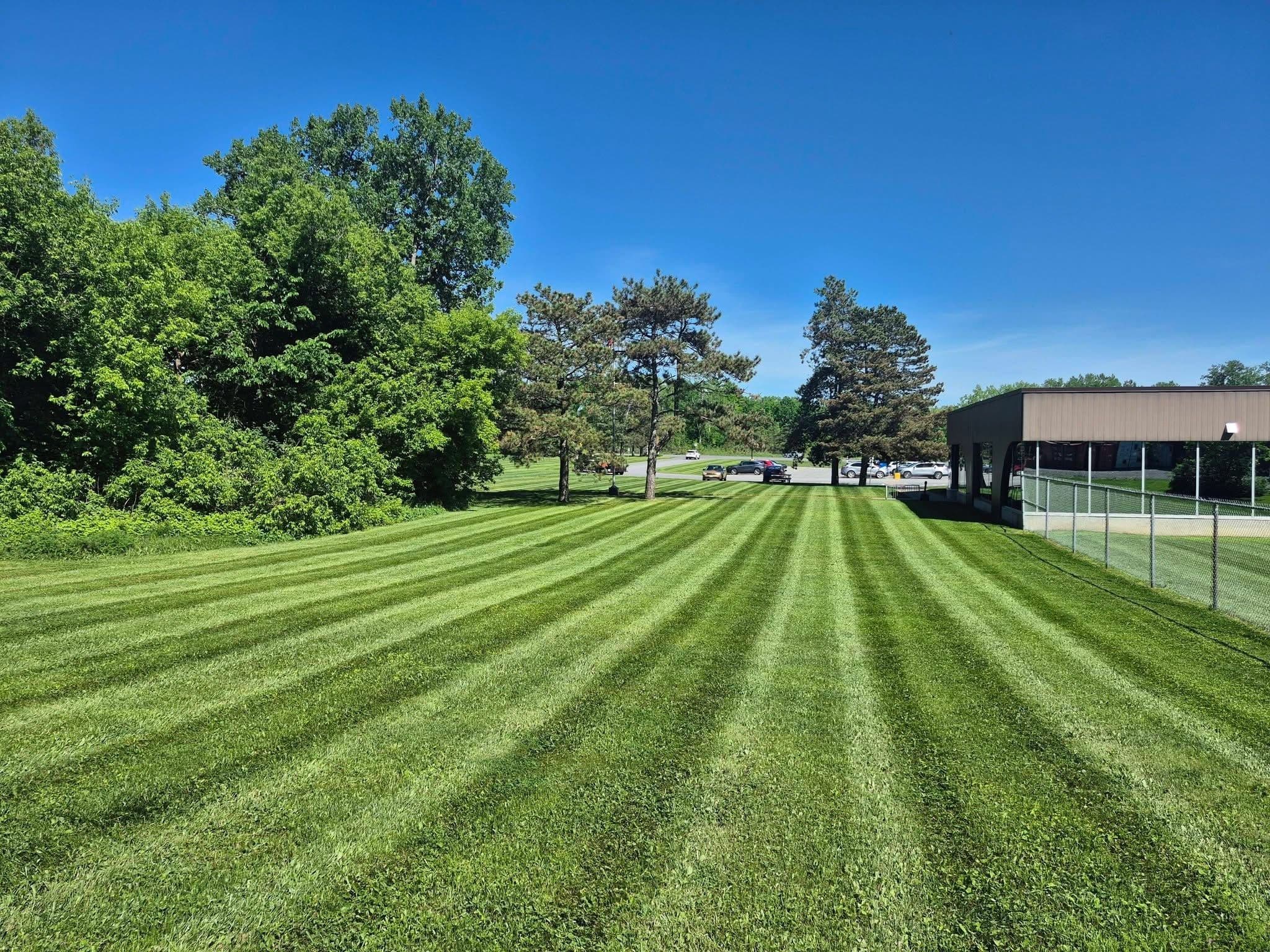 Project A Struggling Plymouth Lawn Starting to Show Its Potential image