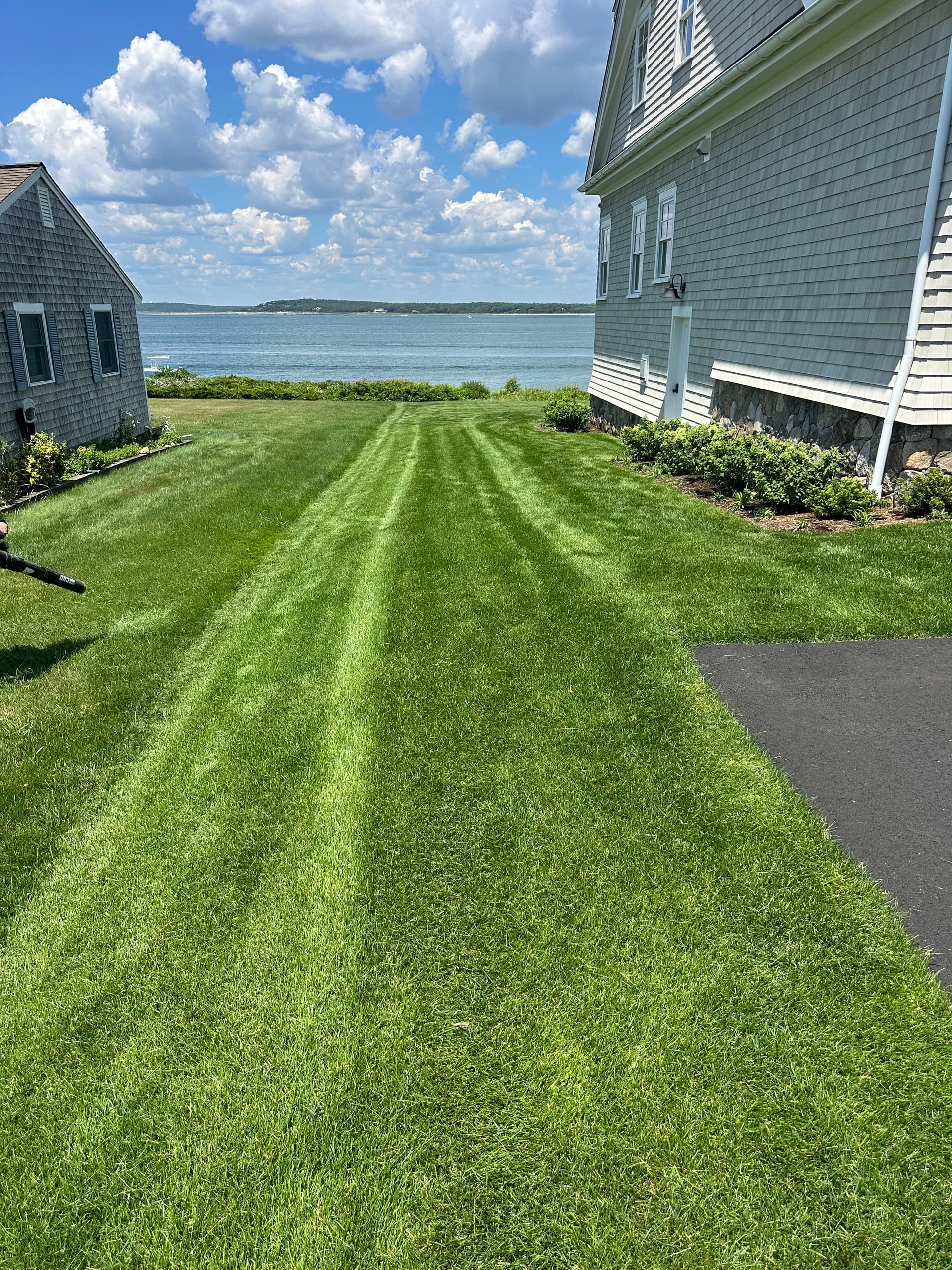 Gallery photos for New Weekly Lawn Maintenance Client in Pocasset: Image #2