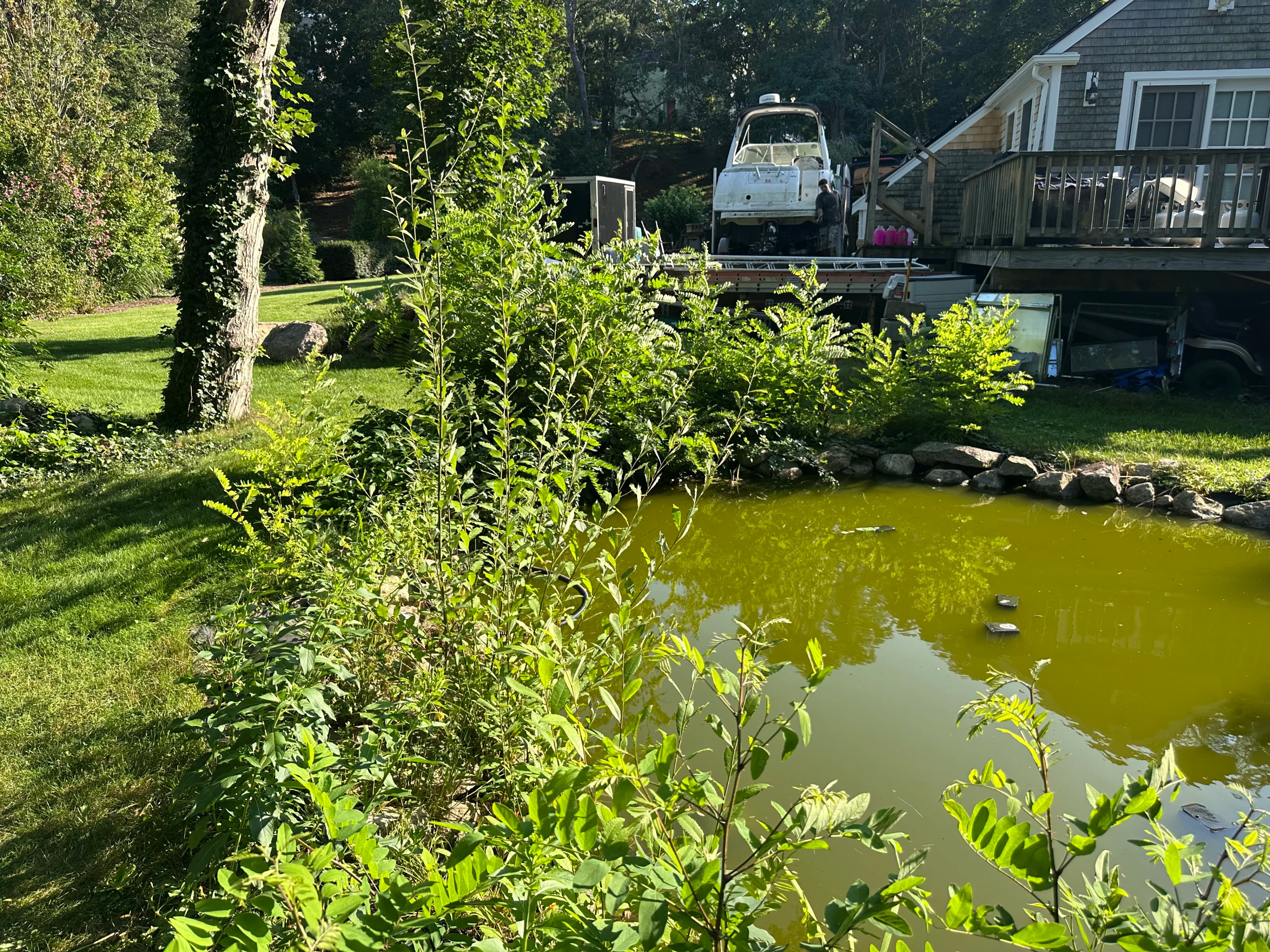 Project Overgrown Pond Gets a Clean Reset image