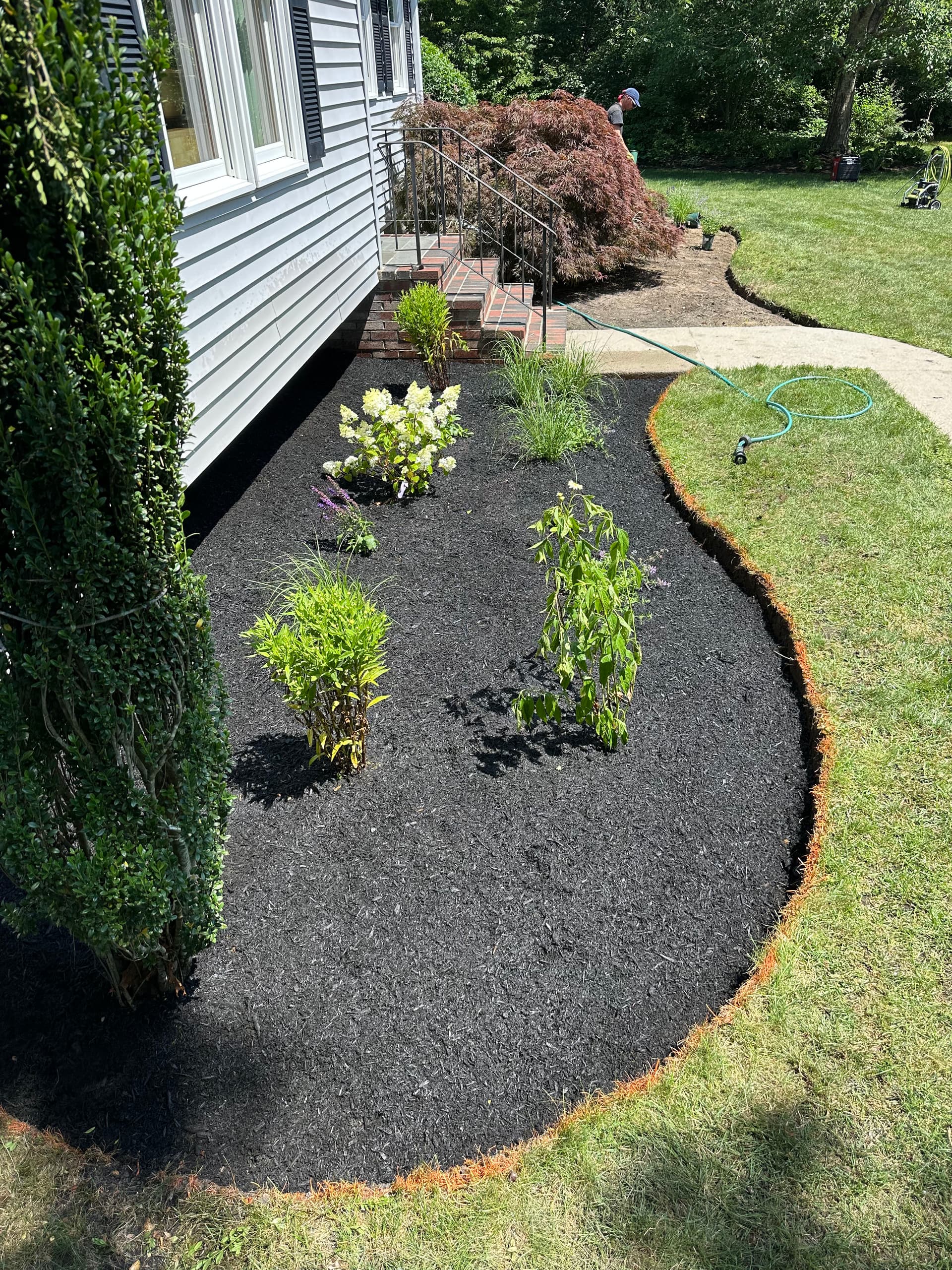 Gallery photos for Black Mulch Bed Design With Fresh Perennial Plantings: Image #2
