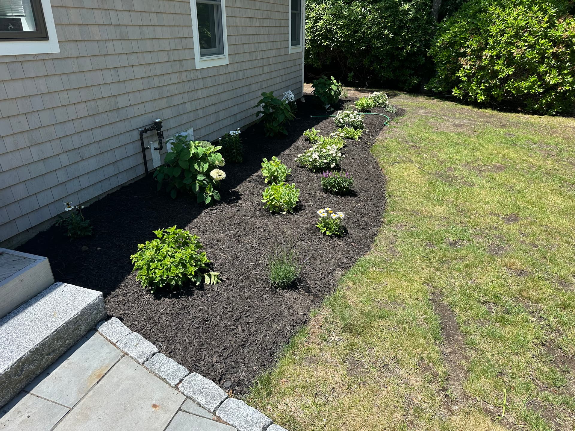 Gallery photos for Perennial Garden Bed Cleanup and Mulch Installation With Real Curb Appeal: Image #2