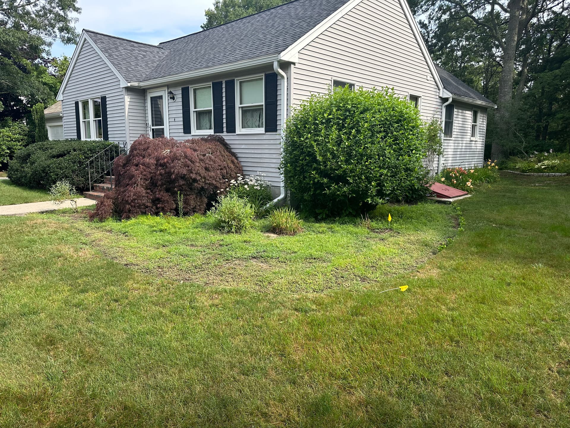 Gallery photos for Black Mulch Bed Design With Fresh Perennial Plantings: Image #3