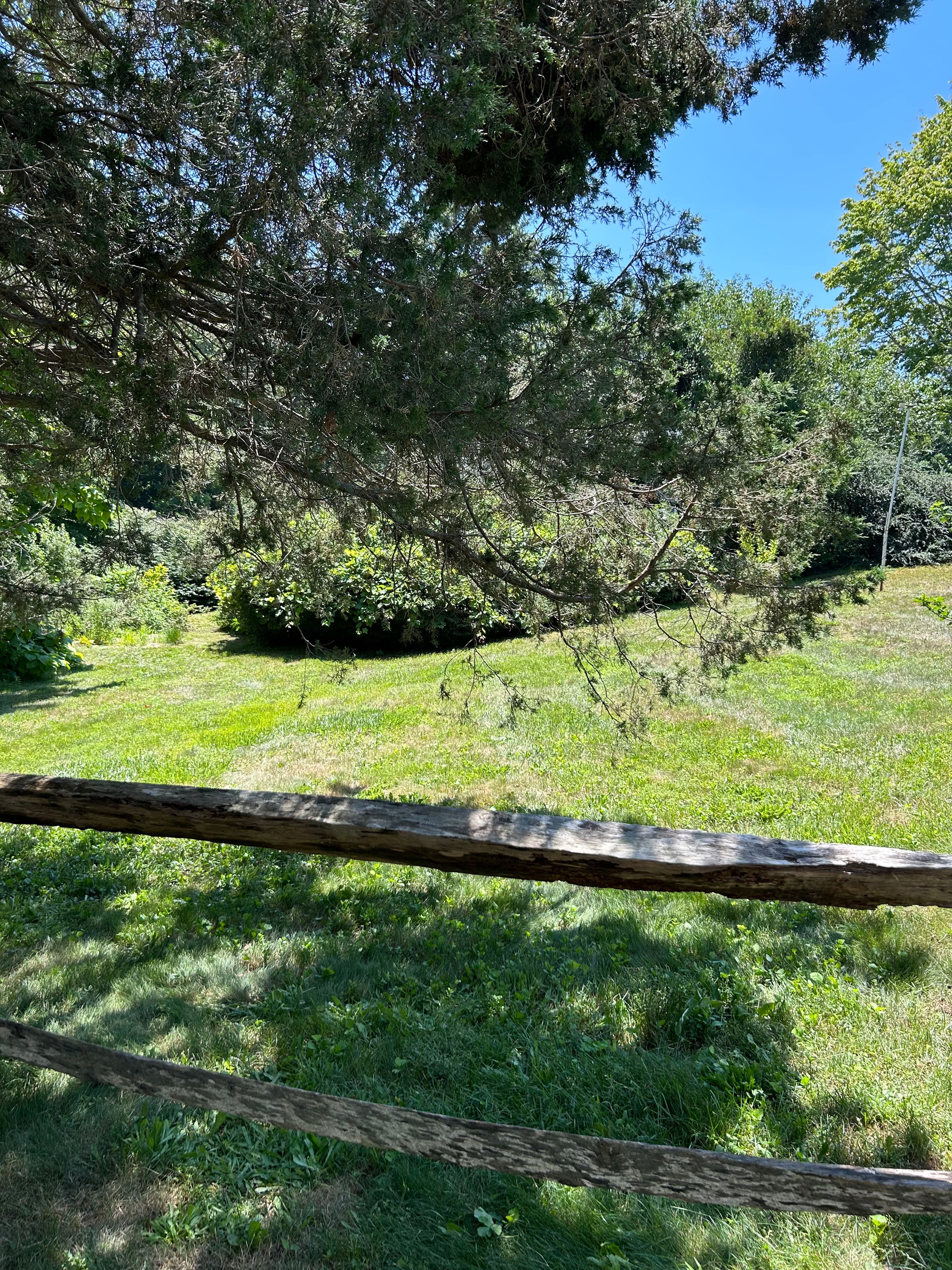 Project Getting an Overgrown Cataumet Lawn Back Under Control image