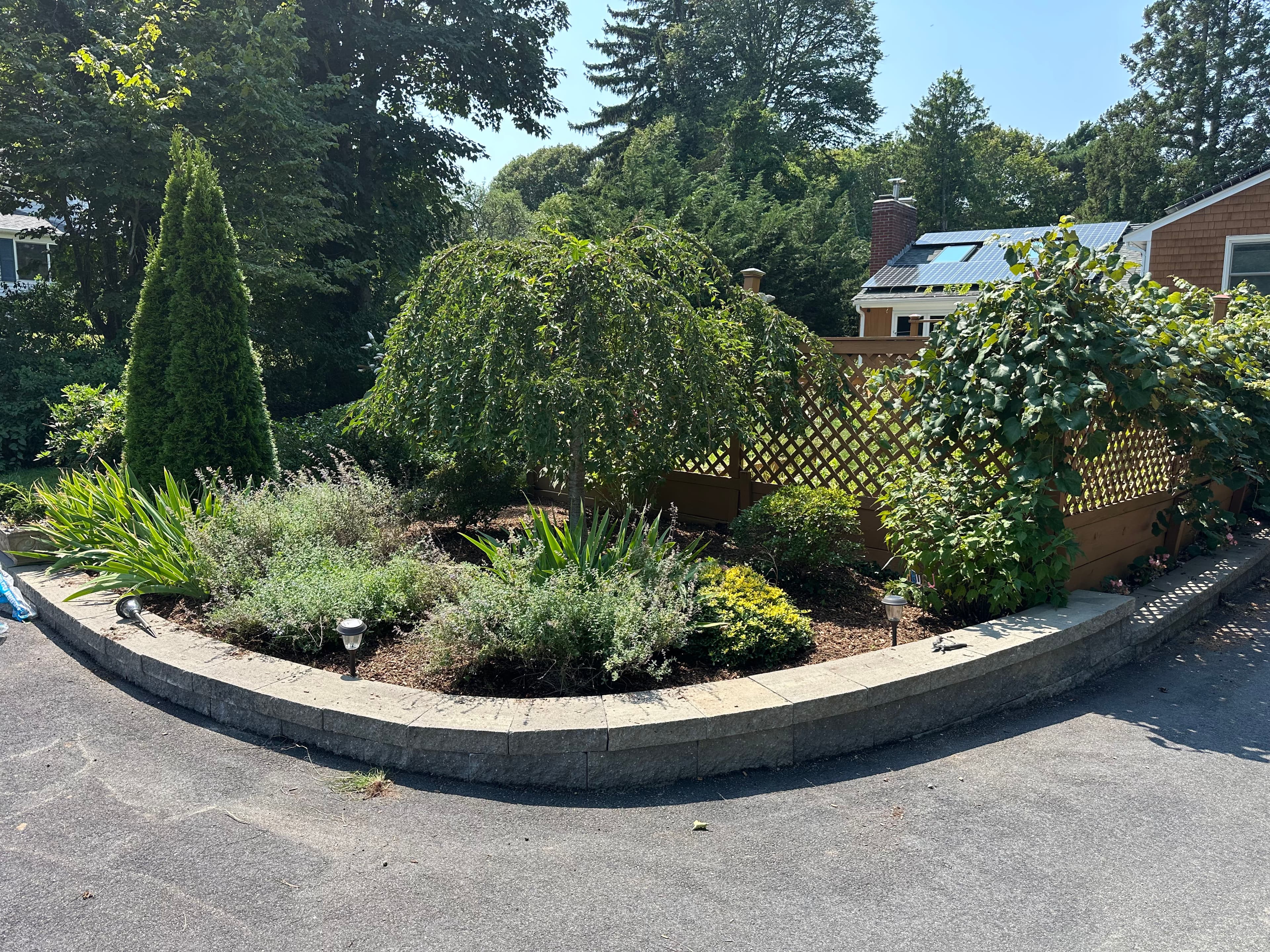 Project Cedar Mulch and Clean Beds Make a Yard Feel New Again image