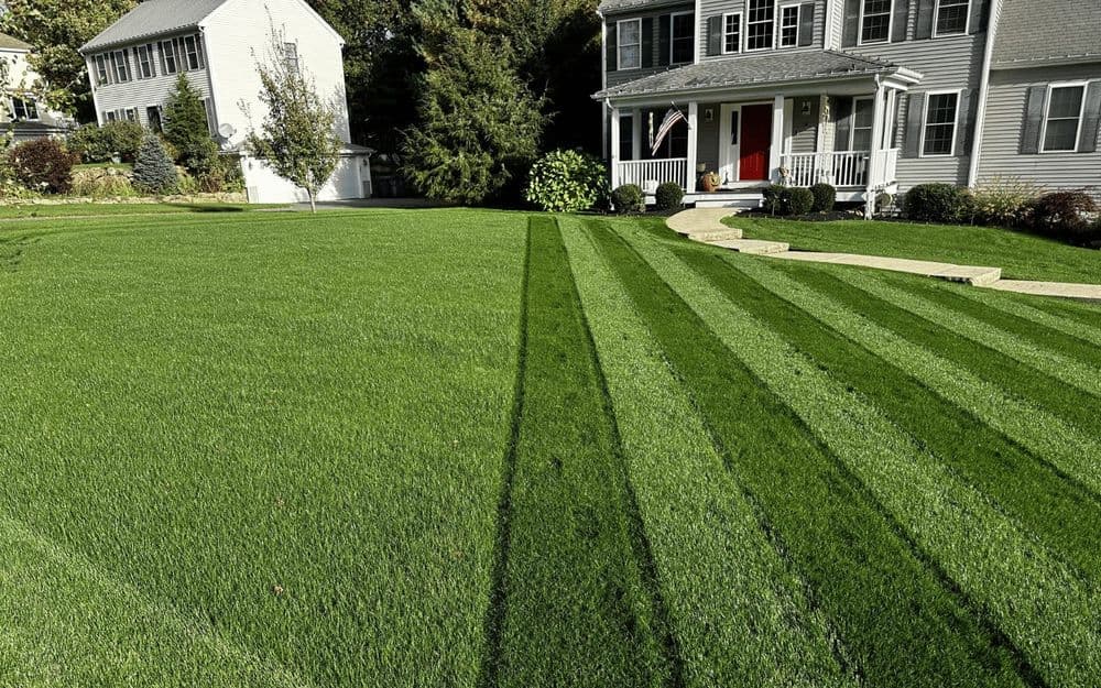 Well-manicured lawn with striped grass and a stylish suburban home in the background.